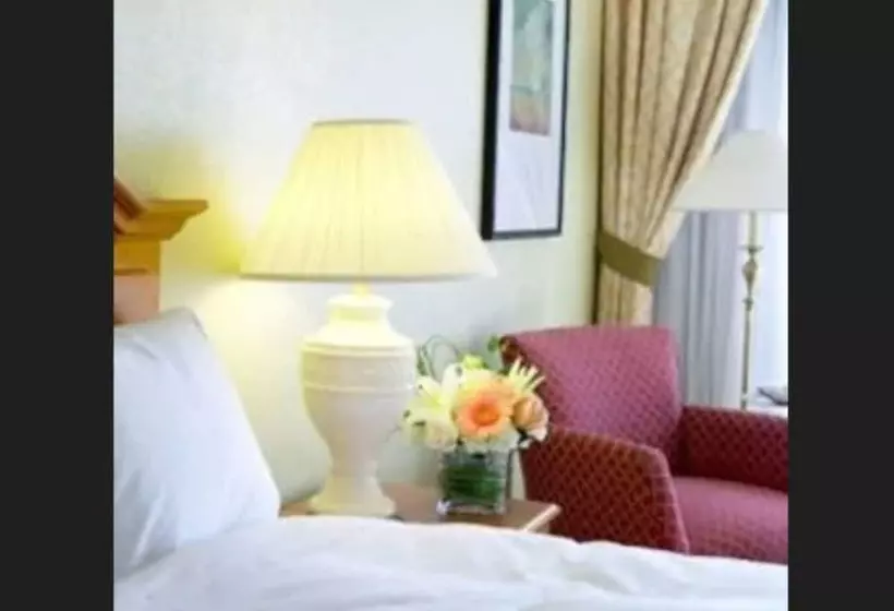 Executive-huone, Satkar Residency