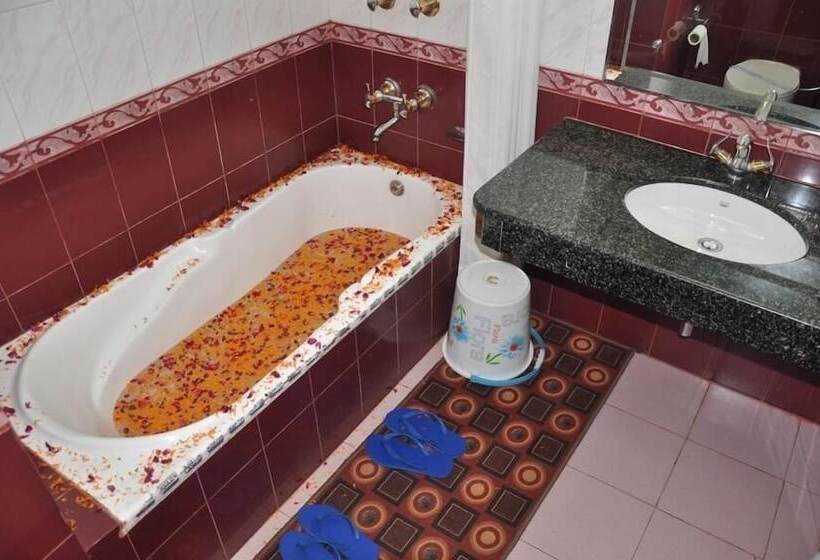 اتاق لوکس, The Royal Regency Manali