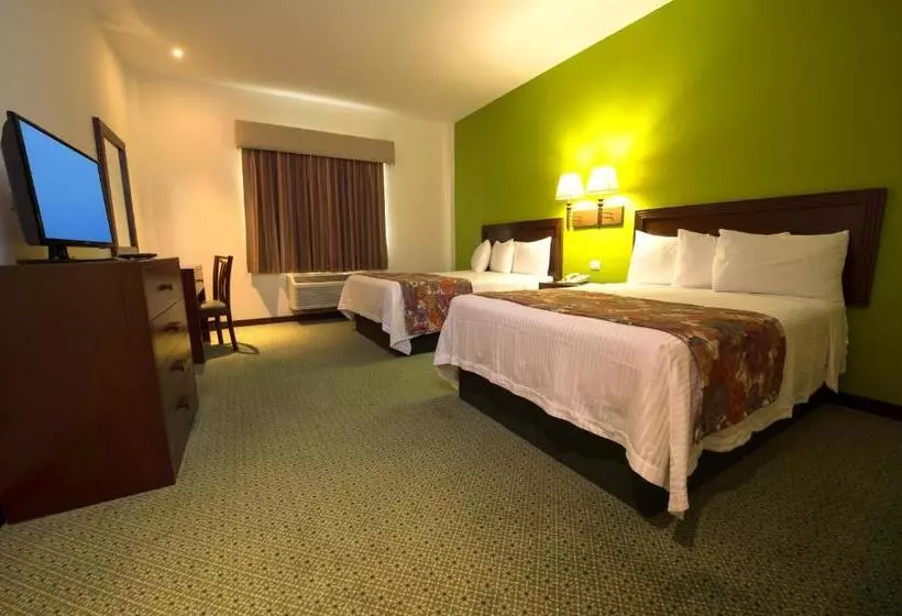 اتاق استاندارد با 2 تخت دوبل, Brio Inn