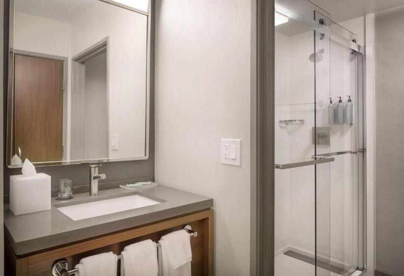 غرفة قياسية سرير كينج, Courtyard Farmington