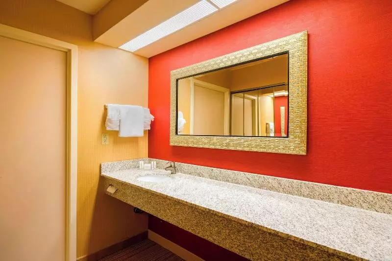 سوئیت با تخت بزرگ, Courtyard Wilmington Brandywine
