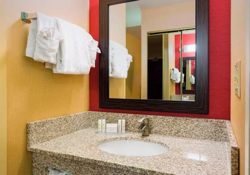 اتاق استاندارد با تخت بزرگ, Courtyard Wilmington Brandywine