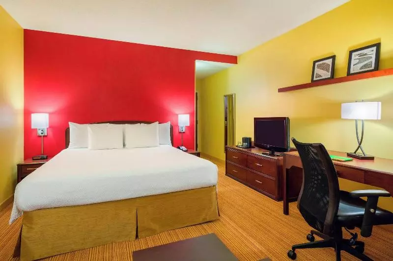 اتاق استاندارد با تخت بزرگ, Courtyard Wilmington Brandywine