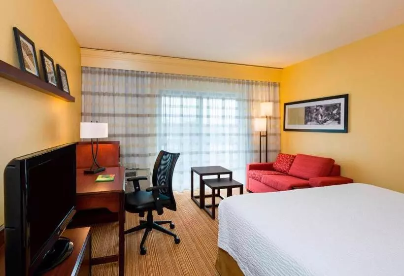 اتاق استاندارد با تخت بزرگ, Courtyard Wilmington Brandywine
