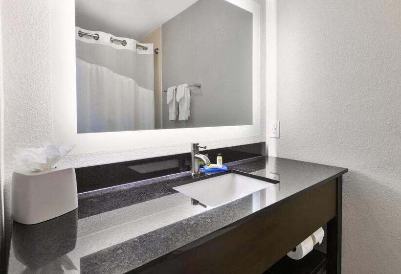 장애인을 위한 킹사이즈 침대 스탠다드 룸, Holiday Inn Express Chillicothe East, An Ihg