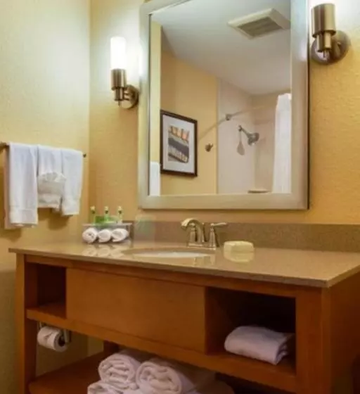 スイート, Holiday Inn Express Fort Lauderdale Airport South, An Ihg