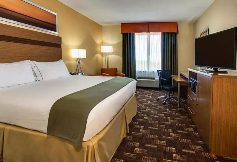 キングサイズベッドのスタンダードルーム, Holiday Inn Express Fort Lauderdale Airport South, An Ihg