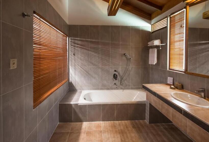 ویلای 1 خوابه, Reethi Beach Resort