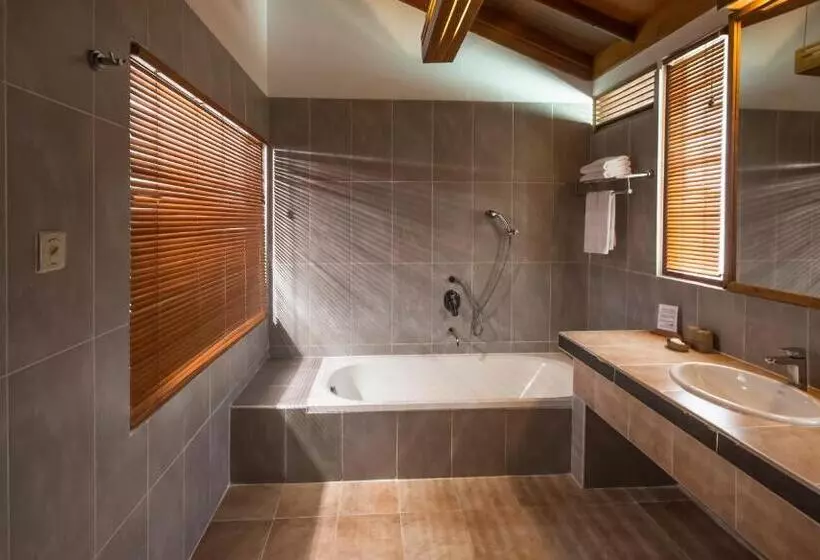 ویلای 1 خوابه, Reethi Beach Resort