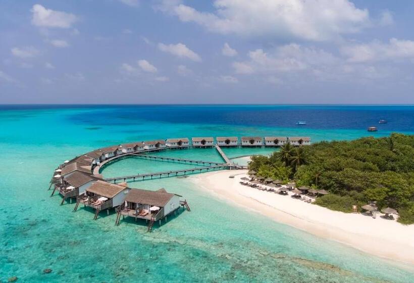 ویلای 1 خوابه, Reethi Beach Resort