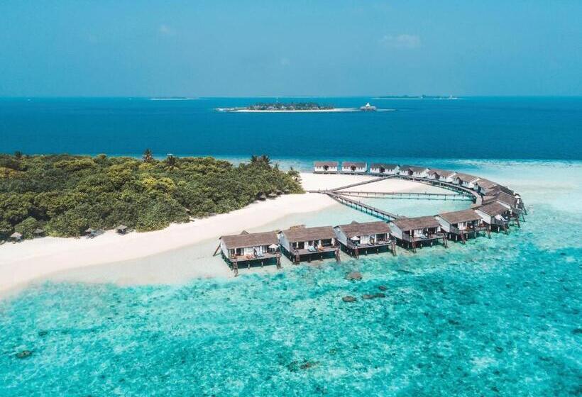 ویلای 1 خوابه, Reethi Beach Resort