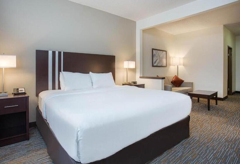 带大床的豪华间, Wingate By Wyndham Gurnee