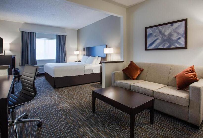 带大床的豪华间, Wingate By Wyndham Gurnee