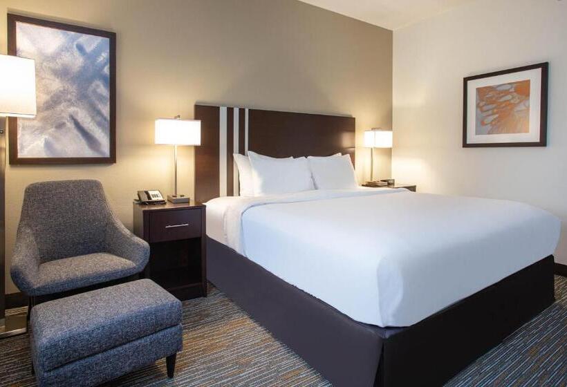 带大床的标准间, Wingate By Wyndham Gurnee