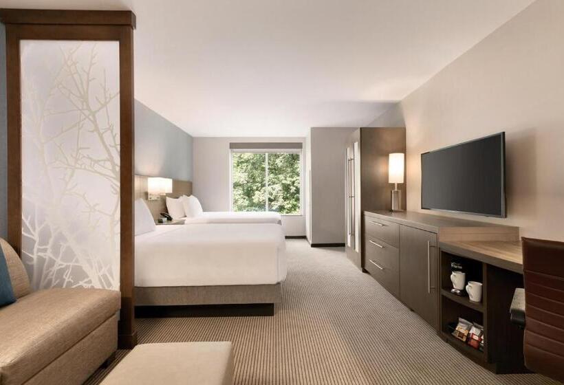 غرفه قياسيه سريرين مزدوجين, Hyatt Place Fort Lee/george Washington Bridge