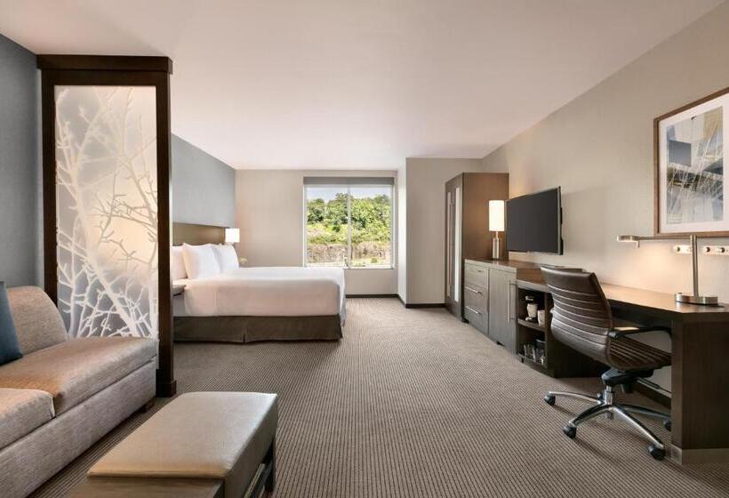 Номер Стандарт Адаптированный для Инвалидов, Hyatt Place Fort Lee/george Washington Bridge
