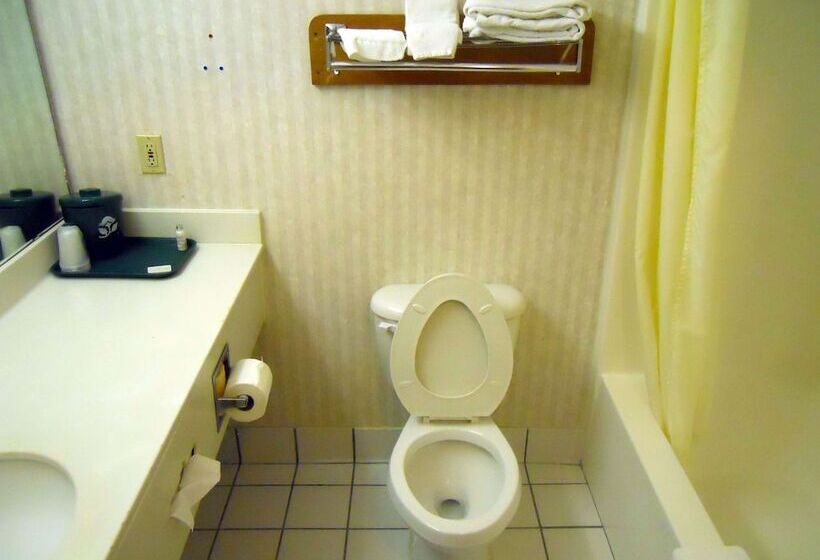 Номер Стандарт 2 Двуспальные Кровати, America S Best Inn & Suites   Decatur