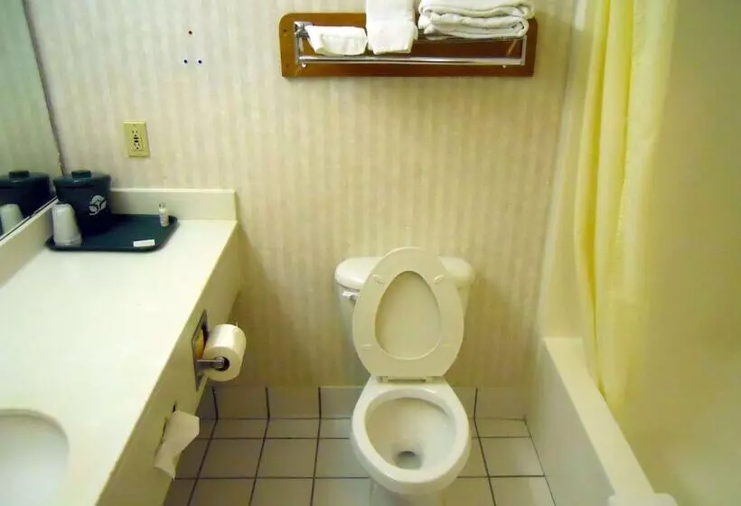 ２ダブルベッドのスタンダードルーム, America S Best Inn & Suites   Decatur