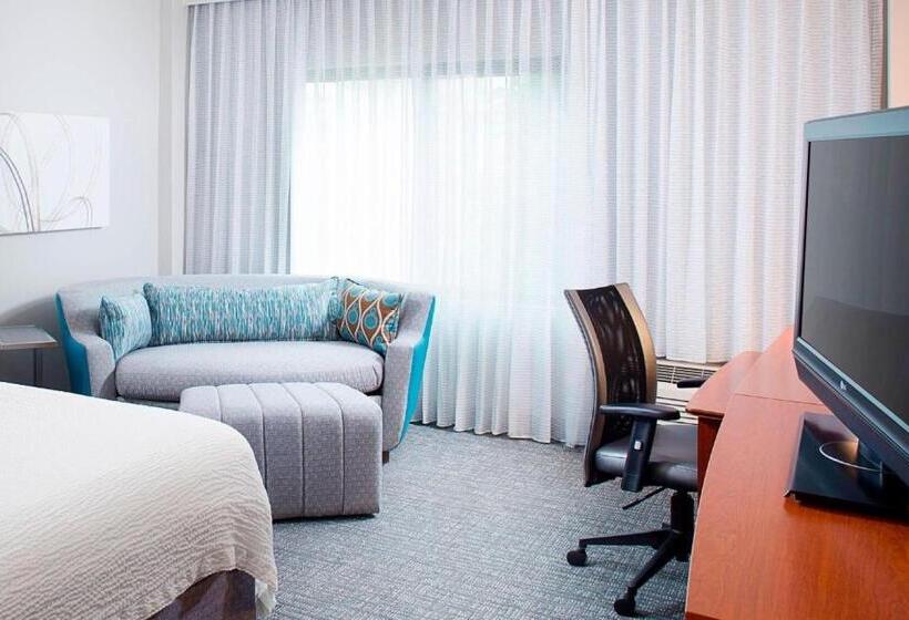 스탠다드 룸 킹사이즈 침대, Courtyard By Marriott Roanoke Airport