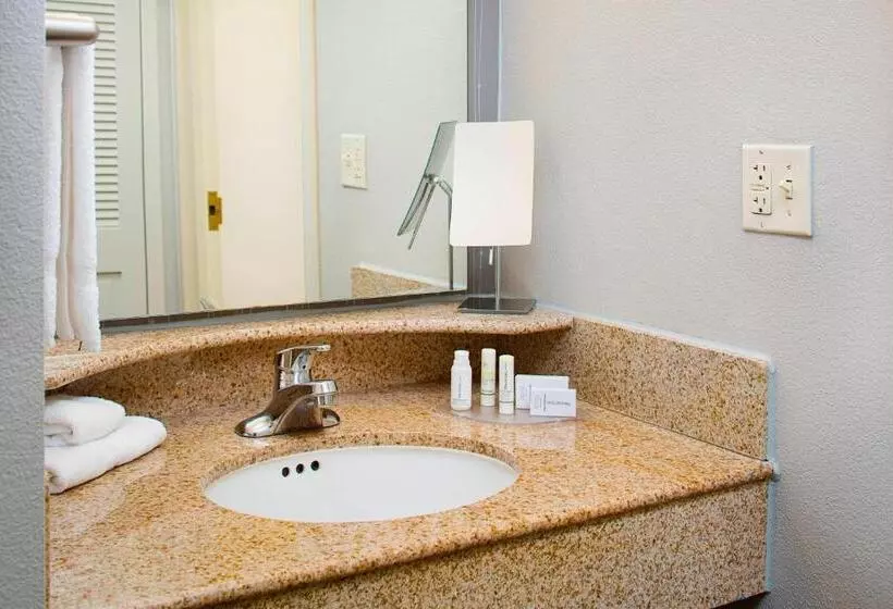 身障者適用キングサイズベッドルーム, Courtyard By Marriott Roanoke Airport