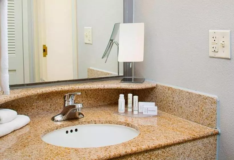 身障者適用キングサイズベッドルーム, Courtyard By Marriott Roanoke Airport