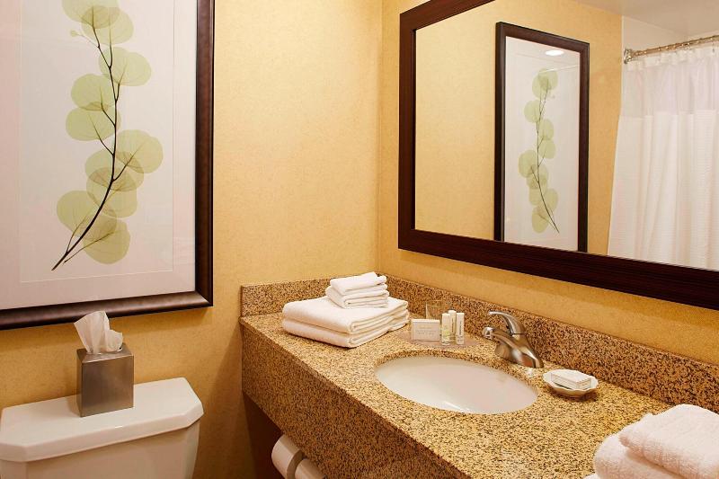 Стандартный Номер Кровать Кинг, Courtyard By Marriott Ithaca Airport/university