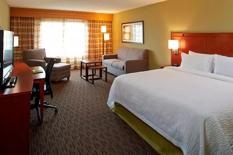 اتاق استاندارد با تخت بزرگ, Courtyard By Marriott Ithaca Airport/university