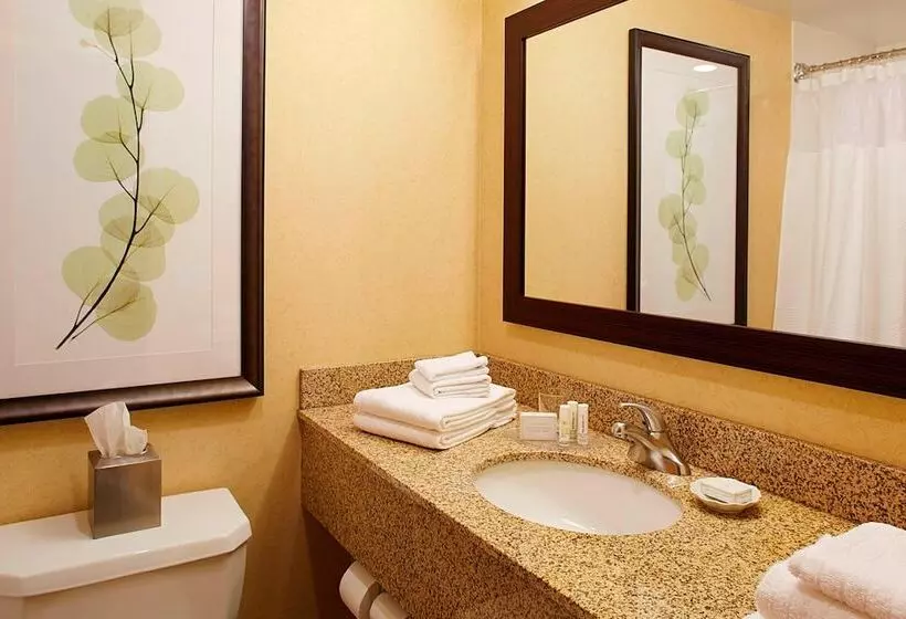 اتاق استاندارد با 2 تخت دوبل, Courtyard By Marriott Ithaca Airport/university