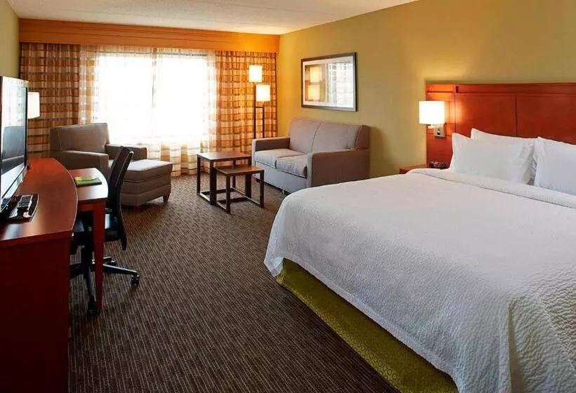 اتاق استاندارد با تخت بزرگ, Courtyard By Marriott Ithaca Airport/university