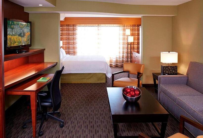 Люкс Executive Кровать Кинг, Courtyard By Marriott Ithaca Airport/university