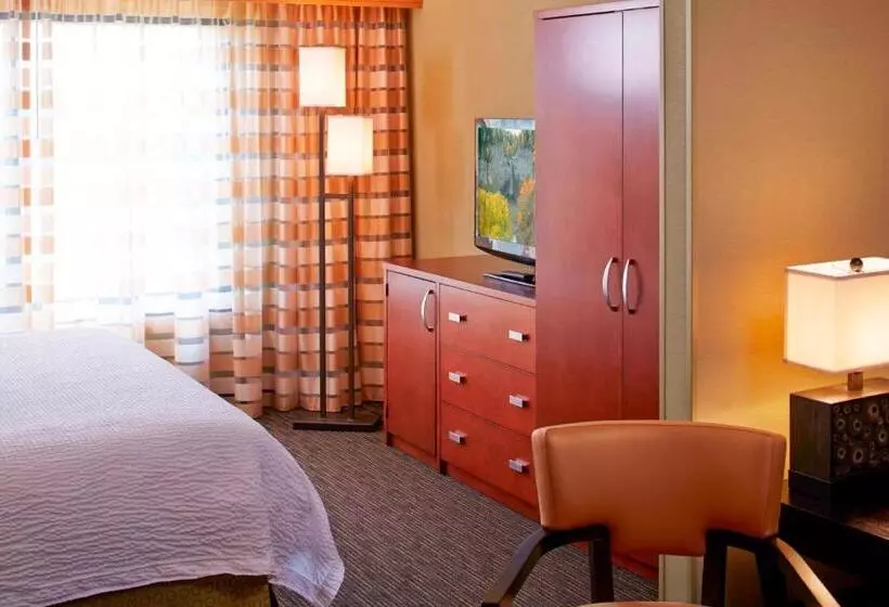 سوئیت اجرایی با تخت کینگ, Courtyard By Marriott Ithaca Airport/university