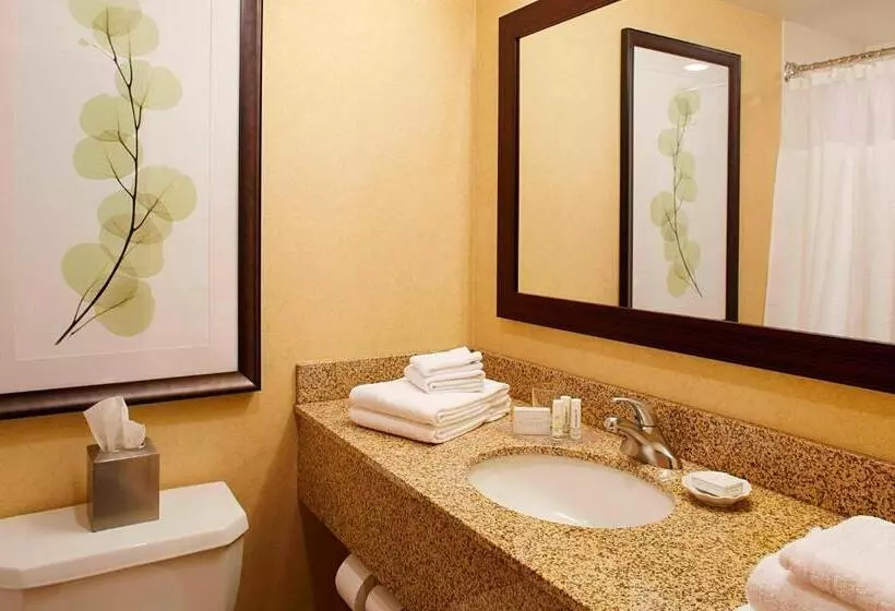 سوئیت اجرایی با تخت کینگ, Courtyard By Marriott Ithaca Airport/university