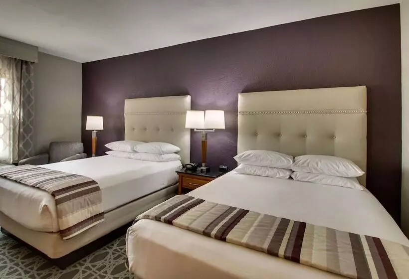 障害者適応デラックスルーム, Drury Inn & Suites Albuquerque North