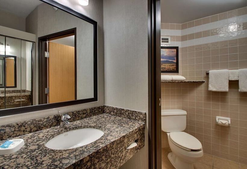 テラス付きデラックスルーム, Drury Inn & Suites Albuquerque North