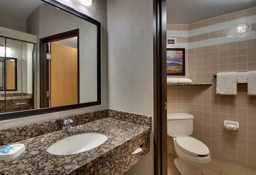 テラス付きデラックスルーム, Drury Inn & Suites Albuquerque North
