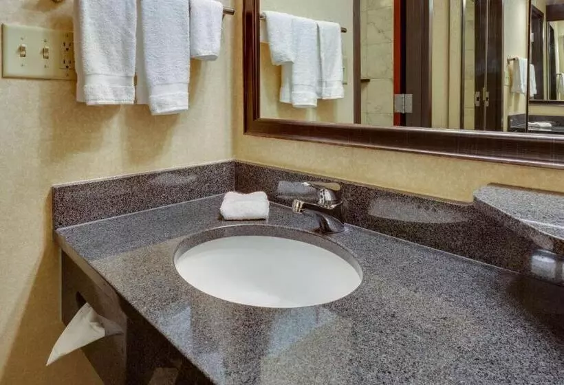 キングサイズベッドのデラックスルーム, Drury Inn & Suites Memphis Southaven