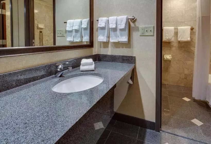 デラックスの４人部屋, Drury Inn & Suites Memphis Southaven