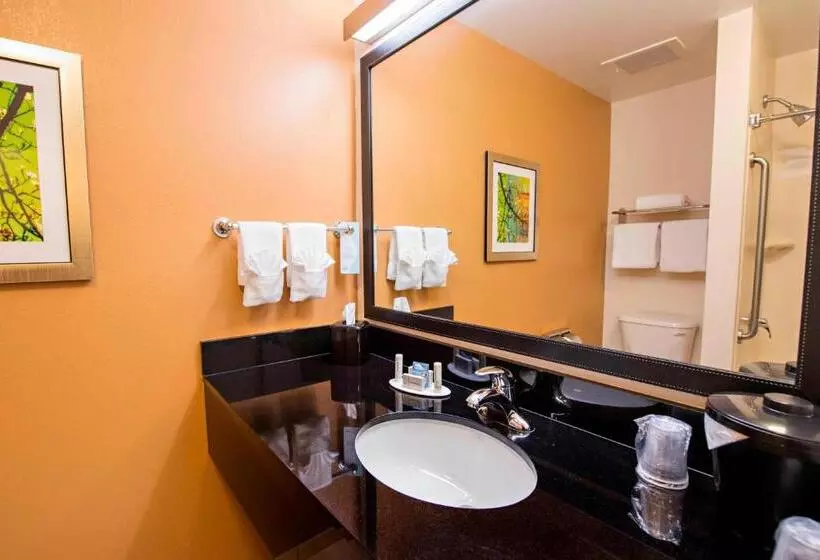 キングサイズベッドのスタンダードルーム, Fairfield Inn And Suites Charleston North/university Area