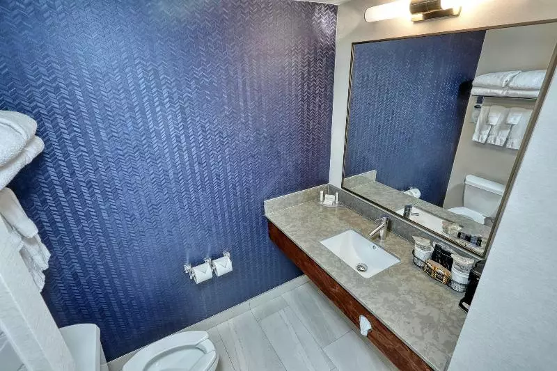 キングサイズベッドのスタンダードルーム, Fairfield Inn & Suites Woodbridge