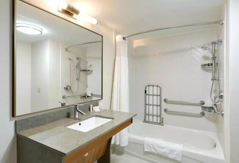 キングサイズベッドのスタンダードルーム, Fairfield Inn & Suites Woodbridge