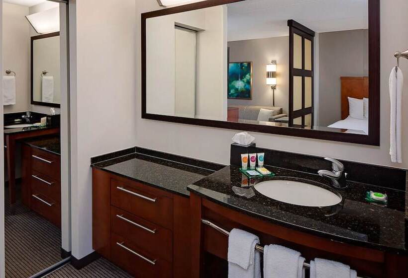 Номер Стандарт 2 Двуспальные Кровати, Hyatt Place Pittsburgh North Shore