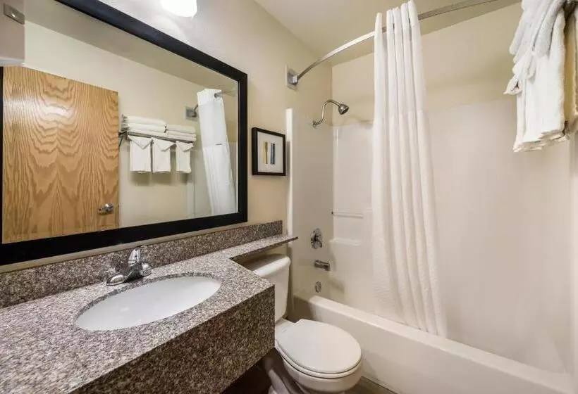 スタンダードルーム, Quality Inn & Suites Near Nas Fallon