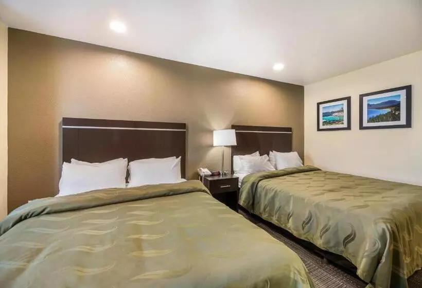 スイート, Quality Inn & Suites Near Nas Fallon