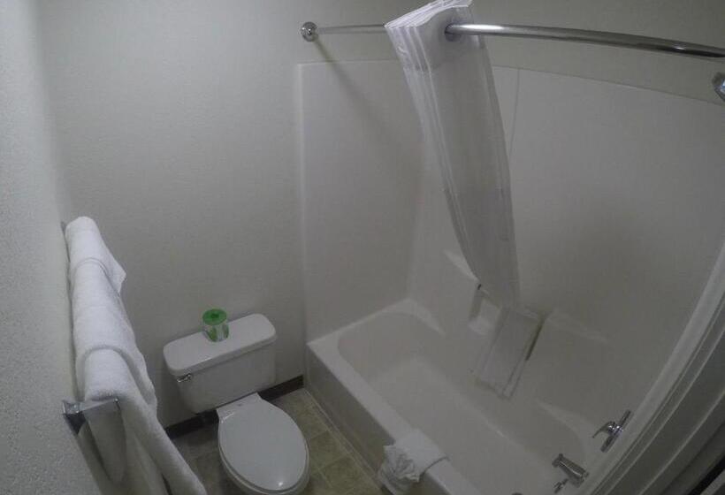 带2个双人床的标准工作室, Rodeway Inn