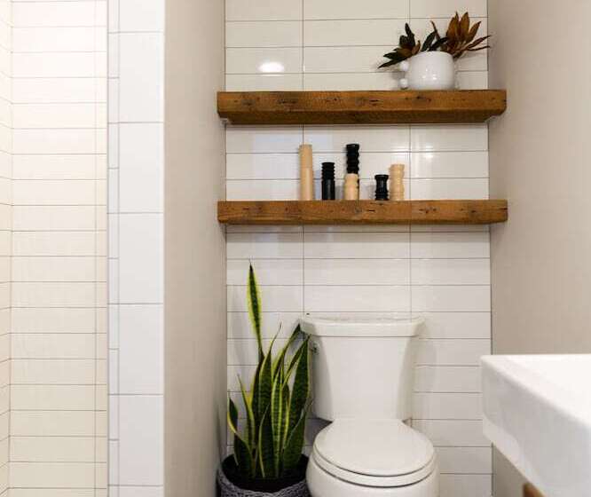 غرفة قياسية, The Hotel Palms