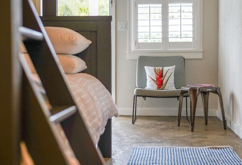 غرفة قياسية, The Hotel Palms