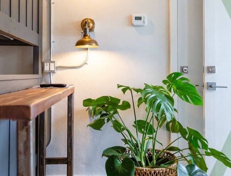 غرفة قياسية, The Hotel Palms