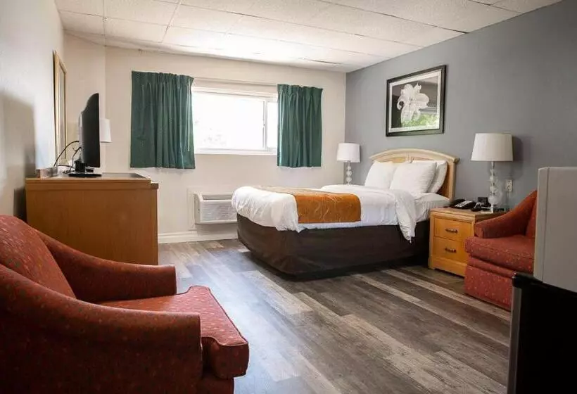 スタンダードルーム, Bedford Motel