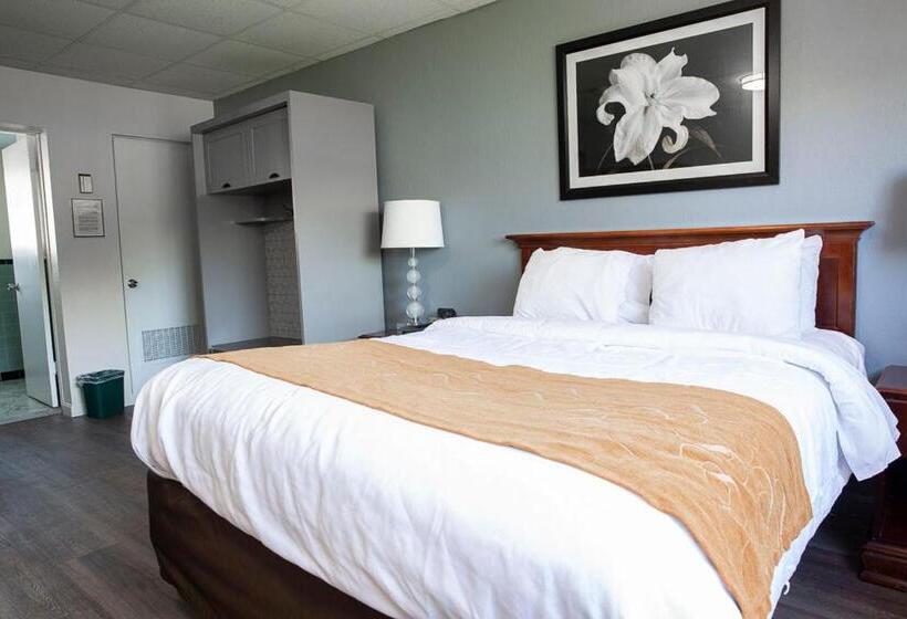 غرفة قياسية, Bedford Motel