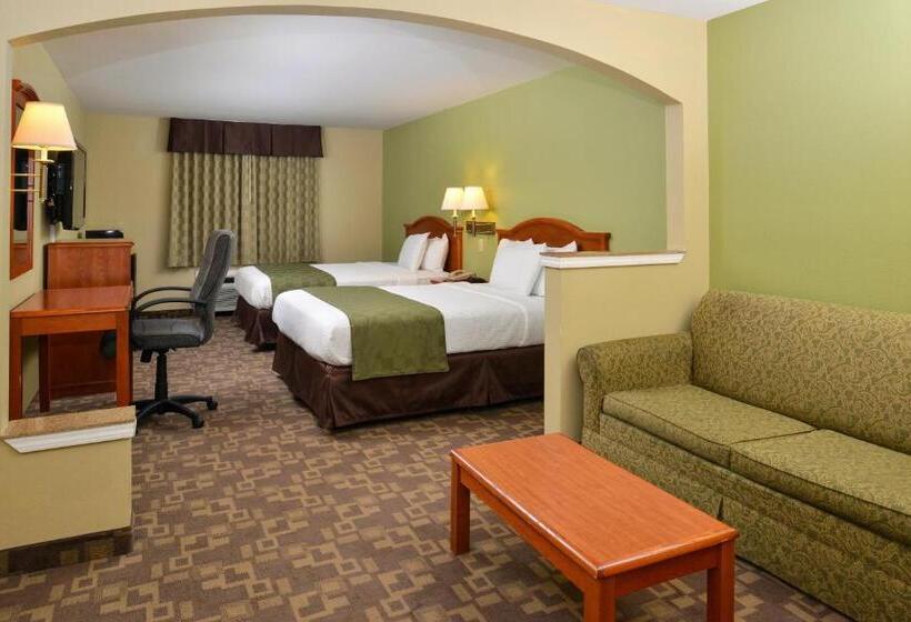 스탠다드 룸, Americas Best Value Inn And Suites Little Rock